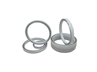 孔用超耐高温弹簧蓄能密封圈