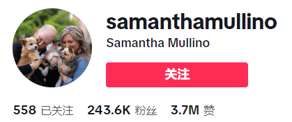 TikTok厨房风云:SUSTEAS奶酪刨刀凭啥月销138万美金?