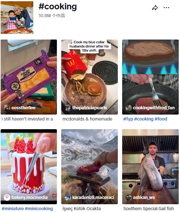 TikTok厨房风云:SUSTEAS奶酪刨刀凭啥月销138万美金?