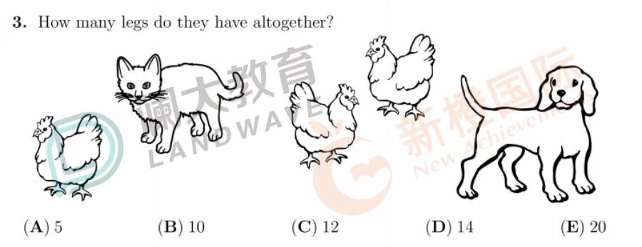 中国袋鼠数学竞赛怎么报名?2024年袋鼠数学竞赛报名时间