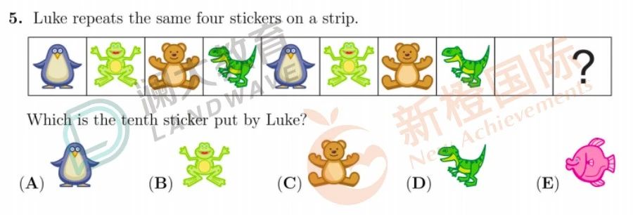 中国袋鼠数学竞赛怎么报名?2024年袋鼠数学竞赛报名时间