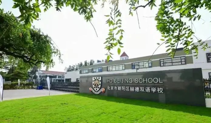 北上再增3所“王炸”AP学校!AP课程为何如此受欢迎?