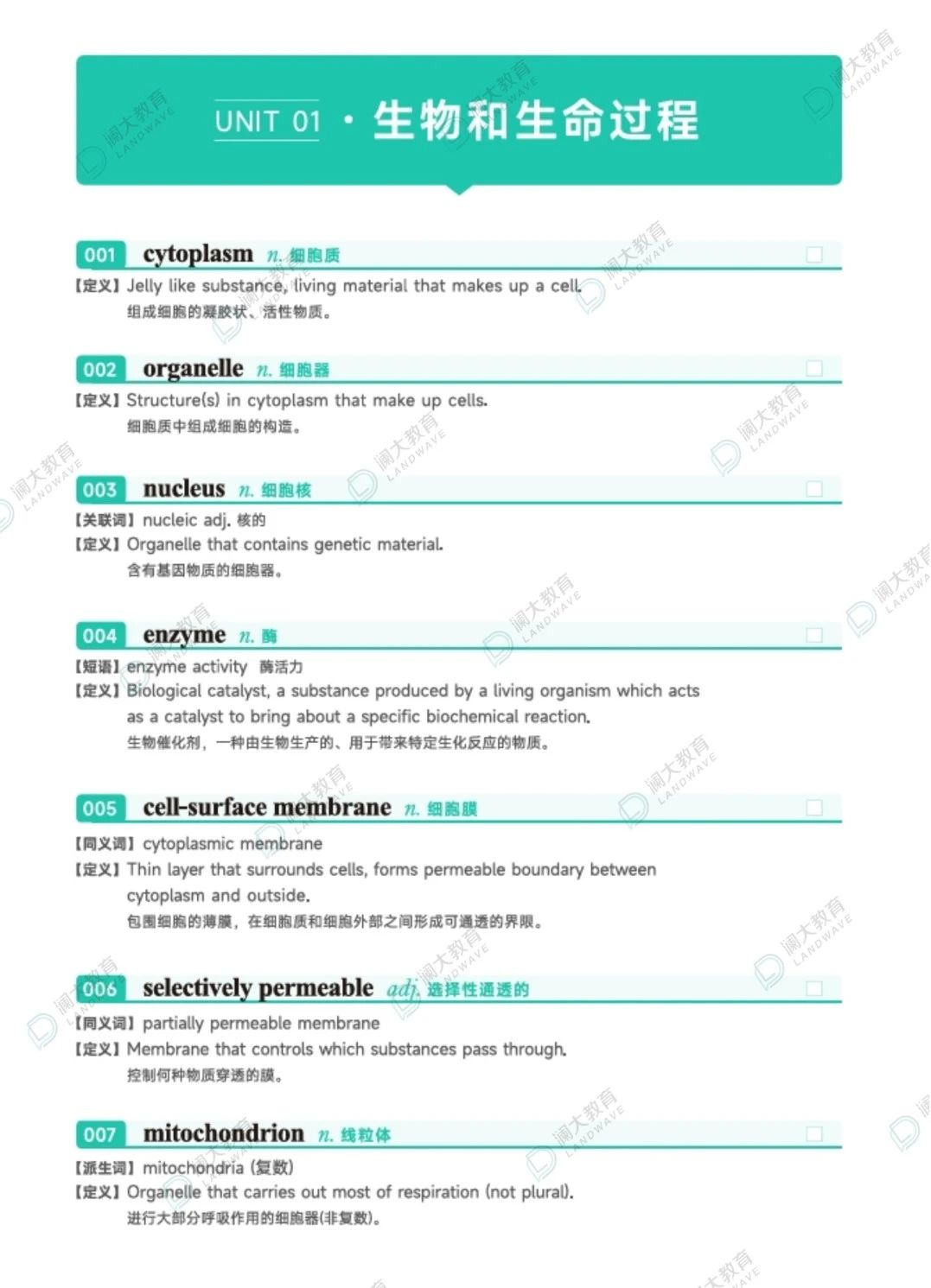AP课程哪家机构好