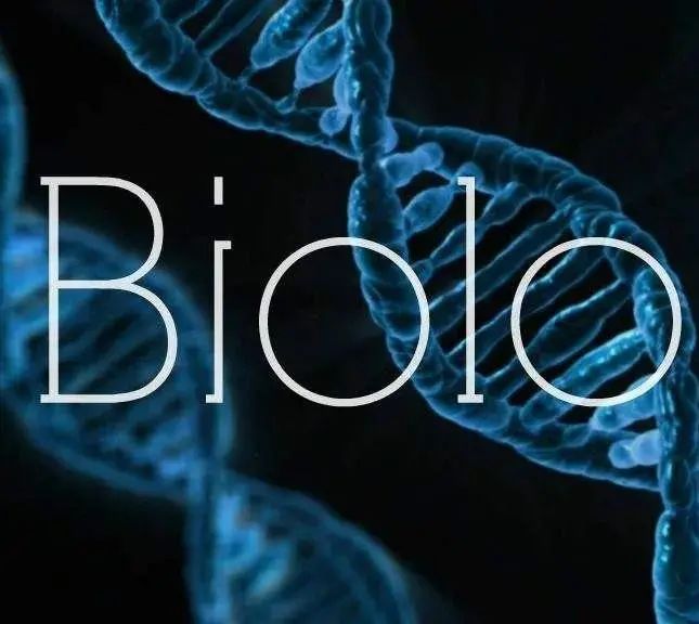 2025年A-Level最难科目