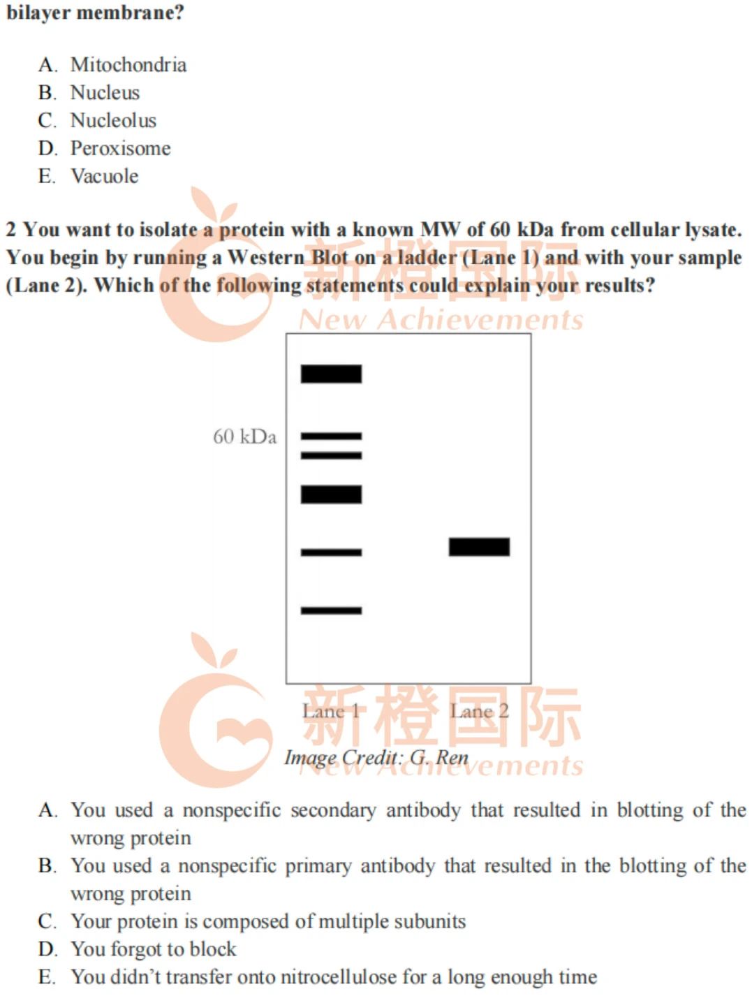 USABO竞赛培训备考