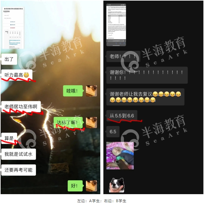 雅思考试培训机构