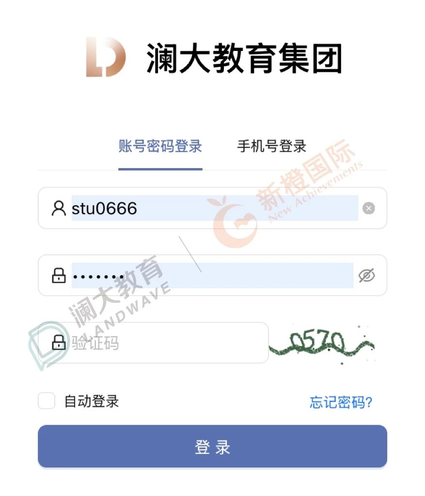 AP课程培训机构