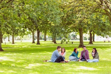 国际学校课程体系有哪些?alevel体系是什么意思