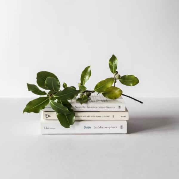 alevel培训什么能力?alevel适合哪些学生