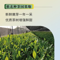磨盘系列-6