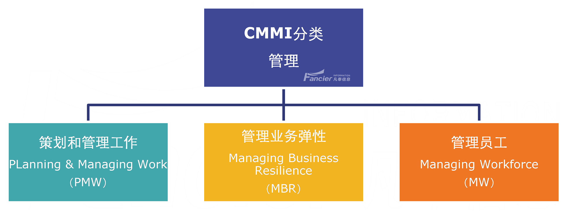 CMMI管理分类