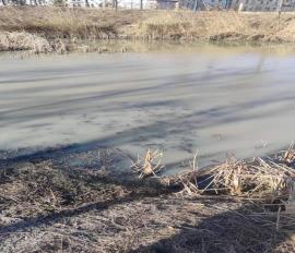 496ab5056d9af2cc2267c225480d847