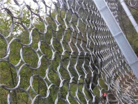 RXI-200被动环形网-1