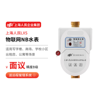 NB水表