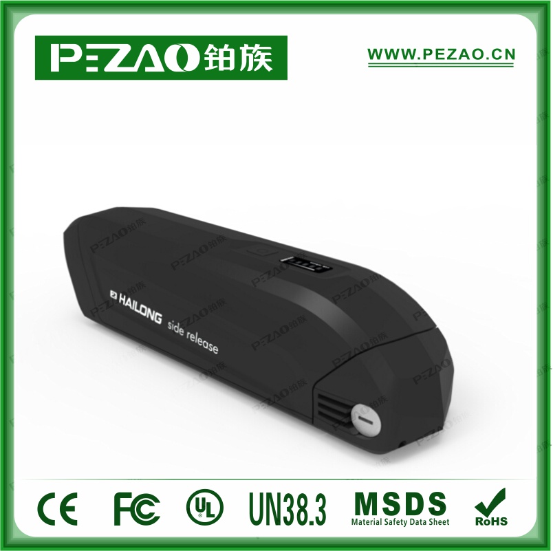 铂族动力电池 电动车电池PZ-ZX08
