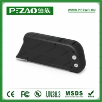 铂族动力电池 电动车电池PZ-ZX09