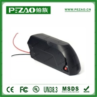铂族动力电池 电动车电池PZ-ZX013