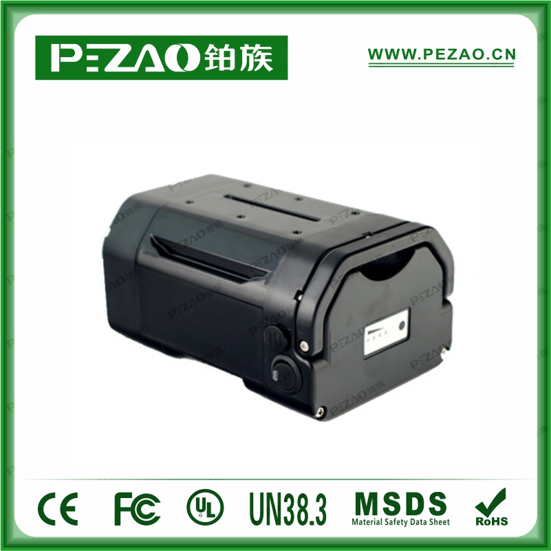 铂族动力电池 电动车电池PZ-ZX029