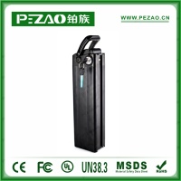 铂族动力电池 电动车电池PZ-ZX030