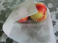 雪梨纸-1