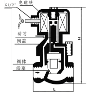 图片34