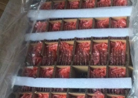 image-20241030163312-1