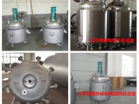 电加热不锈钢反应釜