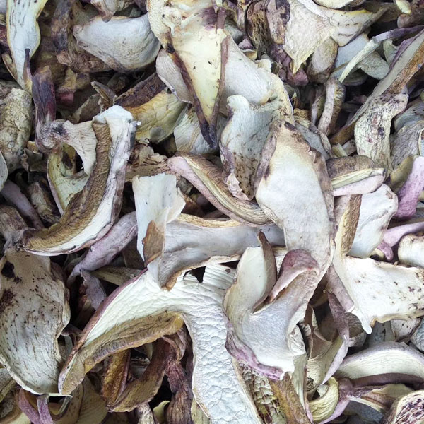 食用菌烘干机