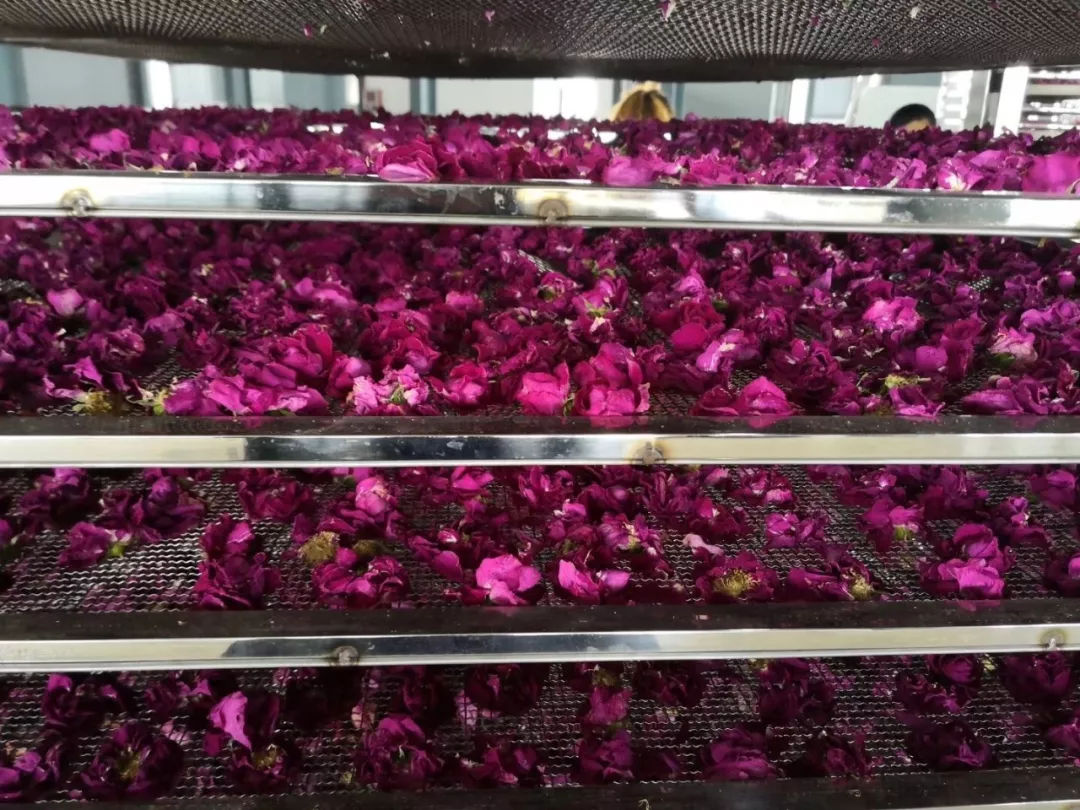鲜花烘干机