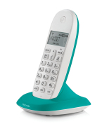 C1001XC_L_TURQUOISE_NewMoto_cmyk
