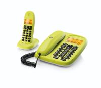 CL101C_L_LEMONLIME_cmyk-1