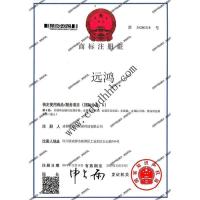 知识产权-1-