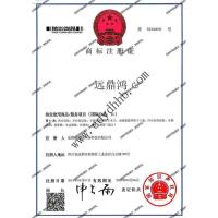 知识产权-2-