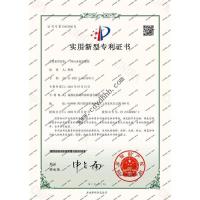 知识产权-6-