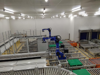 正大智能物流仓储项目