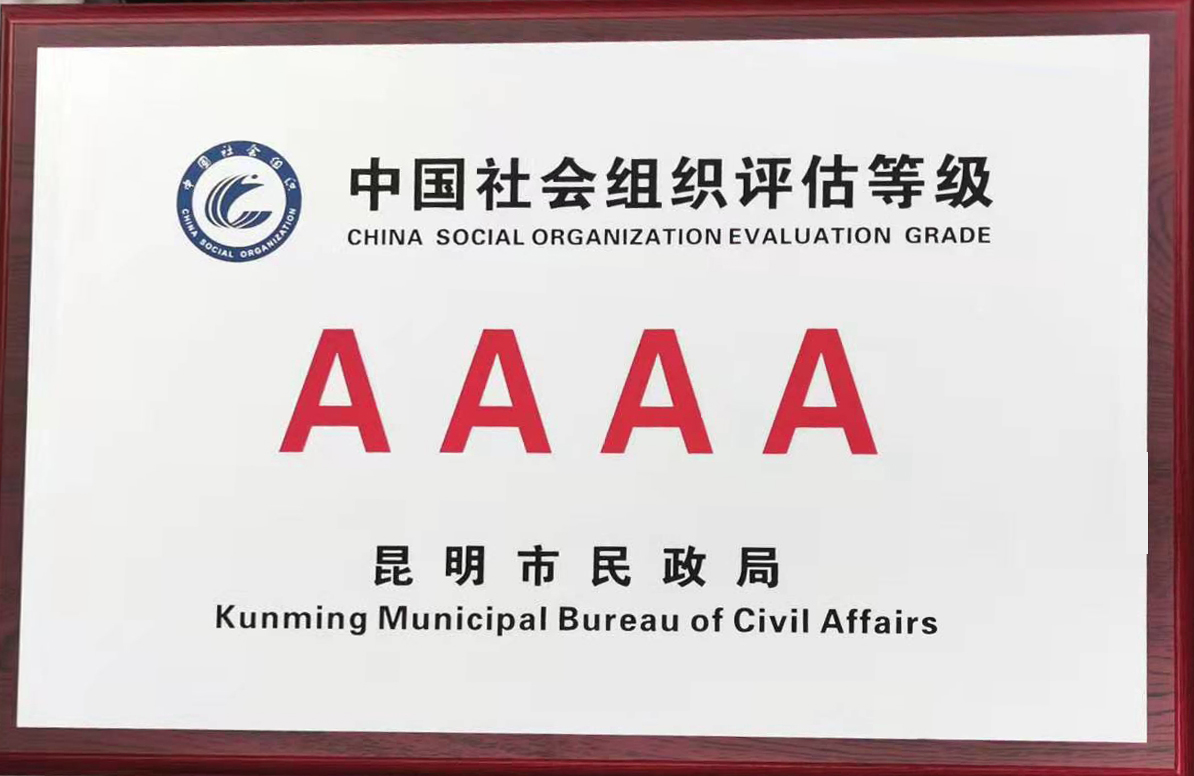 4A级社团