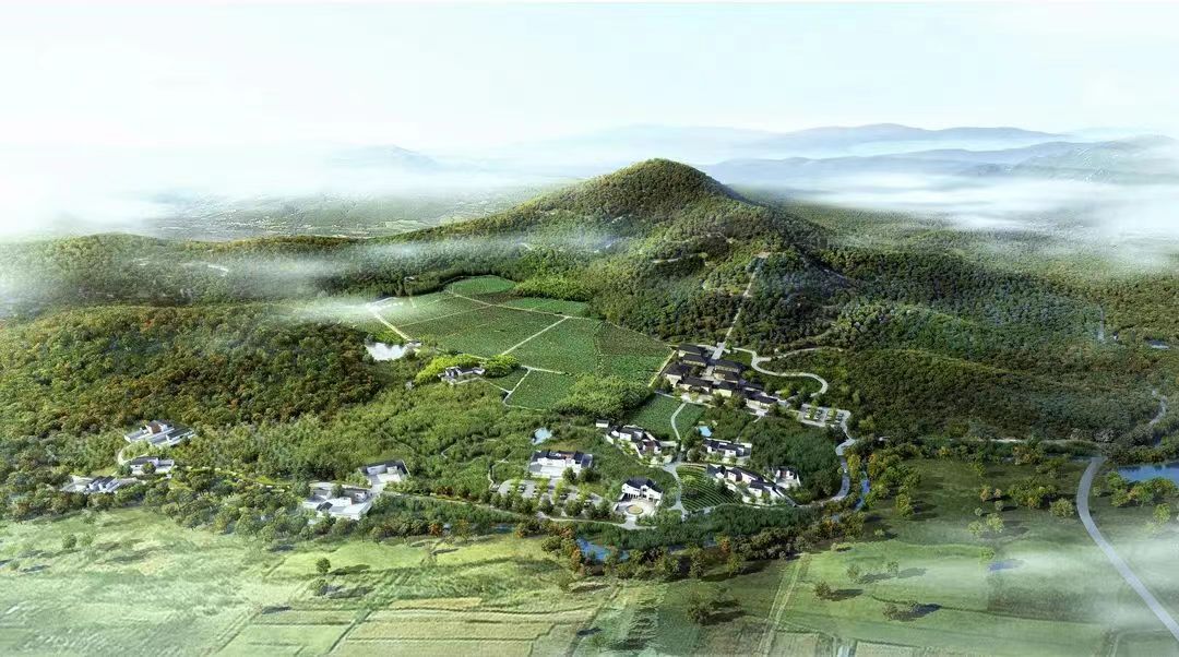 径山茶竹园-微信图片_20240627133253