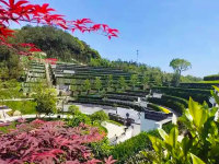 天竹园-1693884469228404