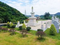 泰和33-1717