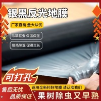 7816b2ee80844ec30b82315502e9122