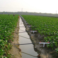 蔬菜基地地埋式灌溉
