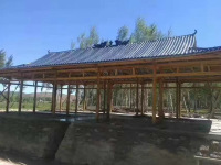 AsA树脂瓦案例展示-1