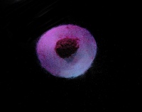 COSMI98652