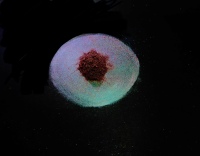 COSMI98653