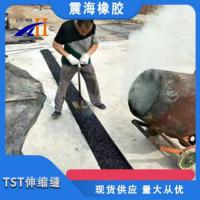 TST伸缩缝-7-