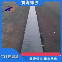 TST伸缩缝-10-