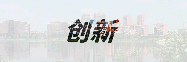 自贸区.gif