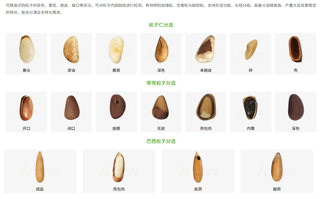 松子分选方案