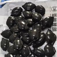 案例展示-19-