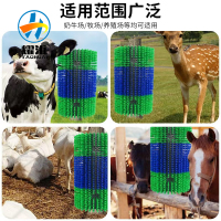 微信图片_20240815171830_副本